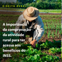 A importância da comprovação da atividade rural para ter acesso aos benefícios do INSS