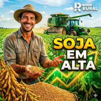 Soja em alta: clima no Hemisfério Norte e Guerra no Irã devem seguir pressionando cotações