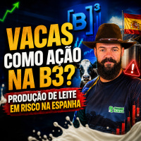 Vacas como ação na B3? Produção de leite em risco na Espanha