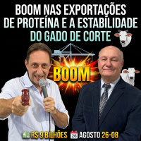 Boom nas Exportações de Proteína e a Estabilidade do Gado de Corte