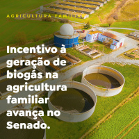 Incentivo à geração de biogás na agricultura familiar avança no Senado