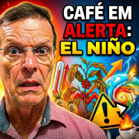 03 Café em Alerta El Niño vai impactar a safra