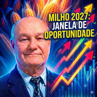 Milho 2026 vs 2027: A janela de oportunidade de 13% que o mercado abriu.