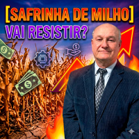  Tempo seco e calor A safrinha de milho vai resistir