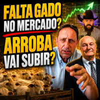 Falta gado no mercado? Arroba vai subir?