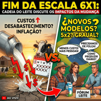 Fim da escala 6x1: cadeia do leite discute os impactos da mudança