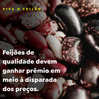 Feijões de qualidade devem ganhar prêmio em meio à disparada dos preços
