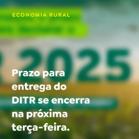 Prazo para entrega do DITR se encerra na próxima terça-feira