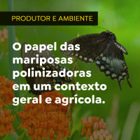 O papel das mariposas polinizadoras em um contexto geral e agrícola