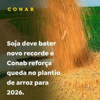 Soja deve bater novo recorde e Conab reforça queda no plantio de arroz para 2026