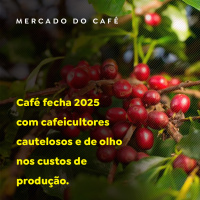 Café fecha 2025 com cafeicultores cautelosos e de olho nos custos de produção
