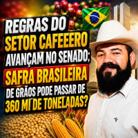Regras do setor cafeeiro avançam no Senado Safra brasileira de grãos pode passar de 360 mi de toneladas? 