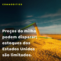 Preços do milho podem disparar estoques dos Estados Unidos são limitados