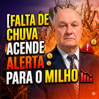 Safrinha em Risco? Falta de chuva em Minas e Goiás acende alerta para o Milho