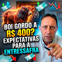 Boi Gordo a R$ 400? As Expectativas para a Entressafra e o Impacto do Consumo Interno