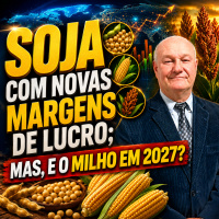Soja com Novas margens de lucro mas, e o milho em 2027?