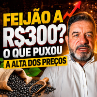 Feijão a R$300? O que Puxou a Alta dos Preços