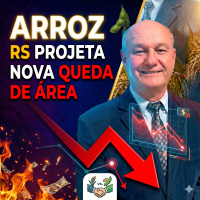 Arroz x Soja: RS projeta nova queda de área para o cereal
