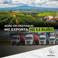 Com agro em destaque, MG registra US$ 6,6 bilhões em exportações no primeiro bimestre.