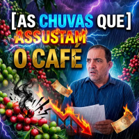 As chuvas que assustam o café