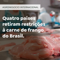 Quatro países retiram restrições à carne de frango do Brasil