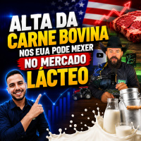 Leite spot fica estável alta da carne bovina nos EUA pode mexer no mercado lácteo 