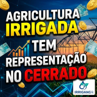 Agricultura irrigada tem representação no Cerrado