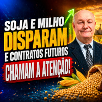 Soja e milho disparam e contratos futuros chamam a atenção!