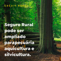 Seguro Rural pode ser ampliado para pecuária aquicultura e silvicultura