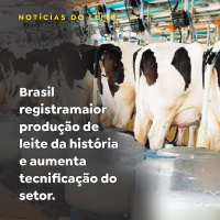 Brasil registra maior produção de leite da história e aumenta tecnificação do setor