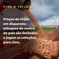 Preços do feijão dispara: estoques do centro do país são limitadas e jogam as cotações para cima