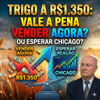 Trigo a R$1.350: Vale a pena vender agora ou esperar a reação de Chicago?