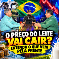 O PREÇO DO LEITE VAI CAIR? Entenda o que vem pela frente