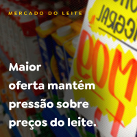 MERCADO DO LEITE - PARTE 02