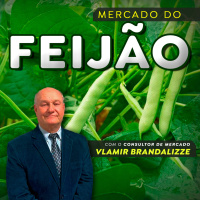 Feijão nobre valoriza e indica melhora nas cotações
