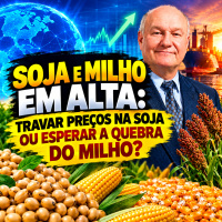 Soja E Milho Em Alta: Travar Preços na Soja ou Esperar a Quebra do Milho?