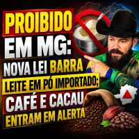 Safra de grãos cresce exportações “salvam” o arroz.