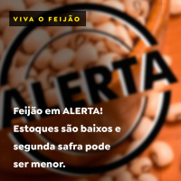Feijão em ALERTA! Estoques são baixos e segunda safra pode ser menor.
