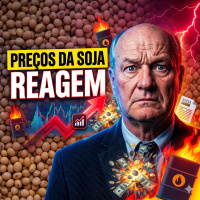 Preços da soja reagem: O impacto do relatório de oferta e demanda e a tensão EUA x Irã