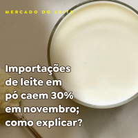 Importações de leite em pó caem 30% em novembro como explicar?