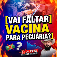 Alerta no Campo: Vai faltar vacina para pecuária?