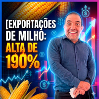 Exportações de Milho registram alta de 190% no valor médio diário