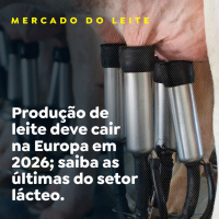 Produção de leite deve cair na Europa em 2026 saiba as últimas do setor lácteo