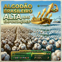 Algodão brasileiro ganha destaque com alta nas exportações e cooperação internacional