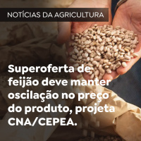 Superoferta de feijão deve manter oscilação no preço do produto, projeta CNA/CEPEA