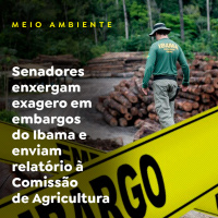 Senadores enxergam exagero em embargos do Ibama e enviam relatório à Comissão de Agricultura