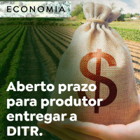 Aberto prazo para produtor entregar a DITR