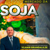 Produtores de soja terão “alívio” nos fertilizantes?