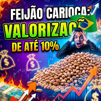 Paracatu Rural - Jornal do agronegócio