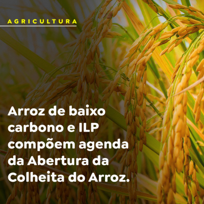 Paracatu Rural - Jornal do agronegócio